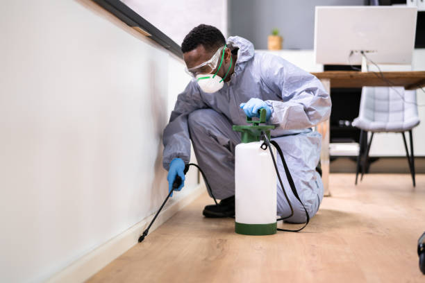 Emergency Pest Control Services in Kimberly, WI